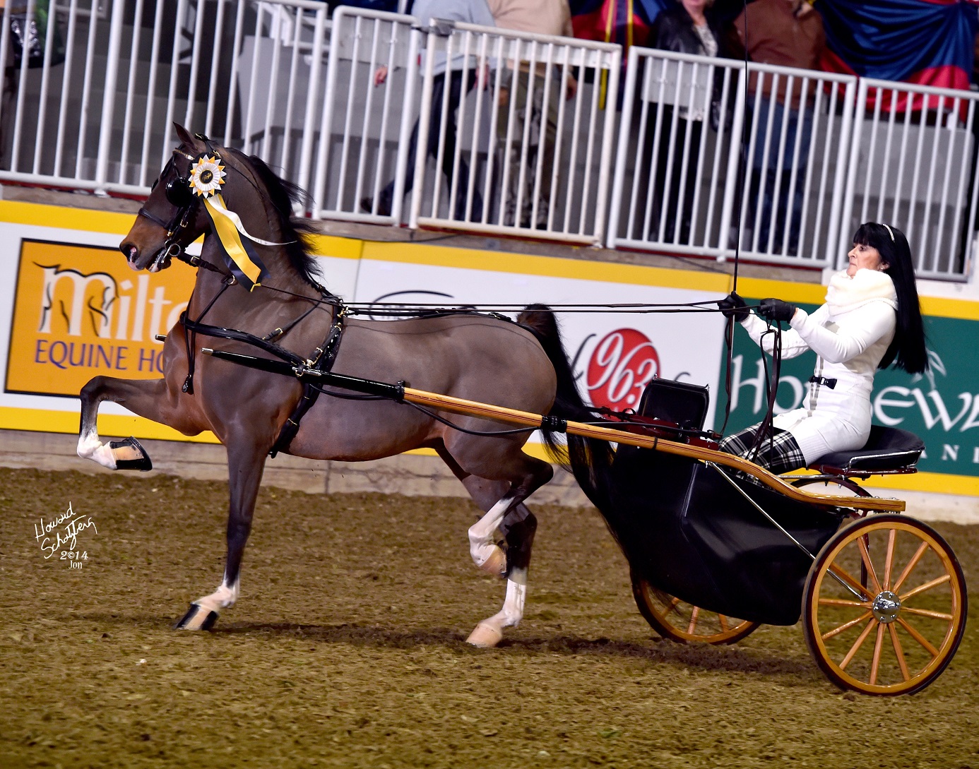 The Canadian Hackney Society